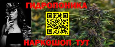 крисы Волгодонск