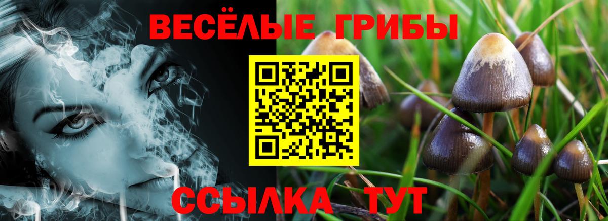 Псилоцибиновые грибы Cubensis  Галлюциногенные грибы мицелий  Вход с VPN  Набережные Челны 